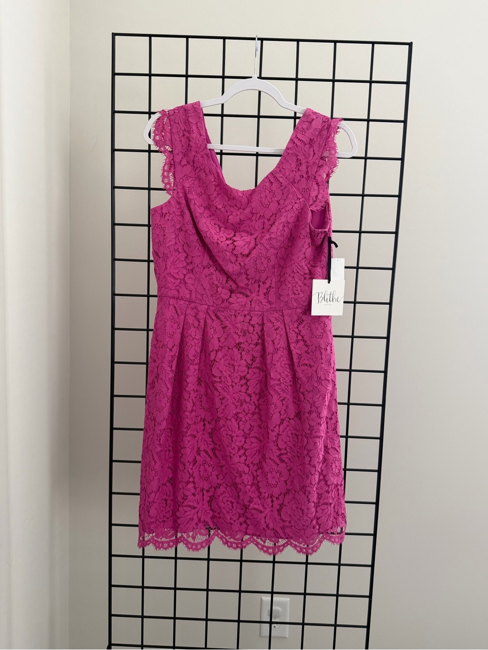 Belthe Fuchsia Lace Mini Dress
